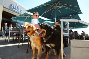 Two dogs sitting under a patio umbrella at Sally's restaurant. 