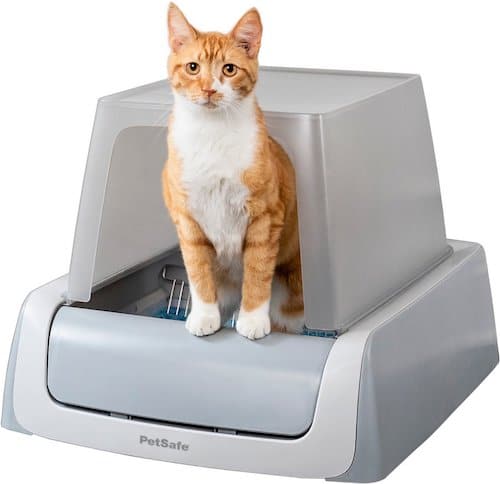 Cat sitting in PetSafe automatic litter box
