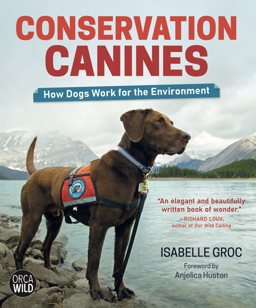 book cover of Conservation Canines depicting a chocolate lab