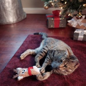 cat on carpet playing with Frisco Holiday Reindeer Plush Kicker Christmas Catnip Toy