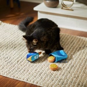 cat on floor playing with Frisco Holiday Dreidle & Coins Plush Cat Toy with Catnip