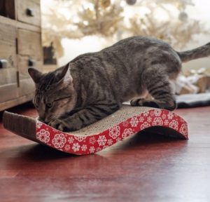 cat scratching wavy cardboard scratcher toy with red and white snowflake print on side