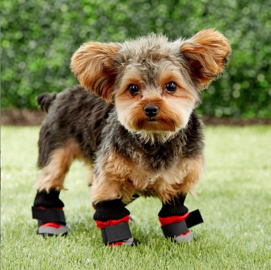 Ethical Pet Extreme All Weather Dog Boots