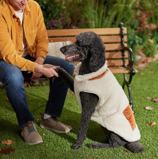 dog sitting in park with owner on bench wearing natural colored Frisco Insulated Half Zip Sherpa Fleece Vest