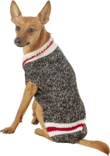 chewy small dog sweaters