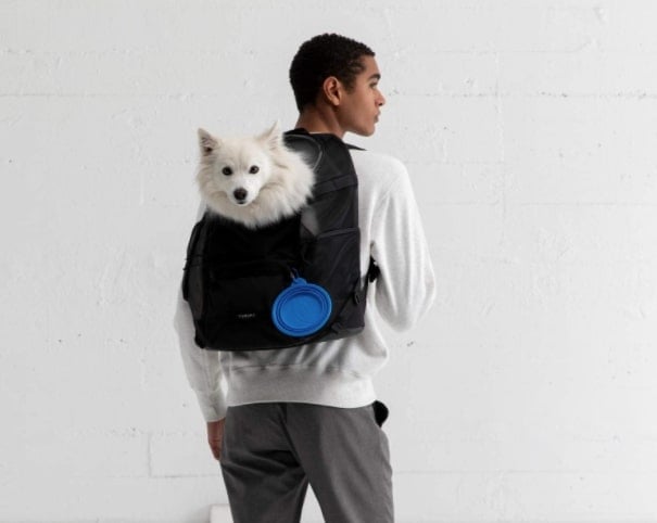 man with small fluffy white dog looking out from black Timbuk2 Muttmover backpack on his back