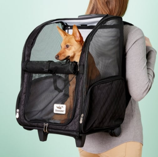 woman with small dog on her back in black Snoozer Pet Products Roll Around 4-in-1 Backpack
