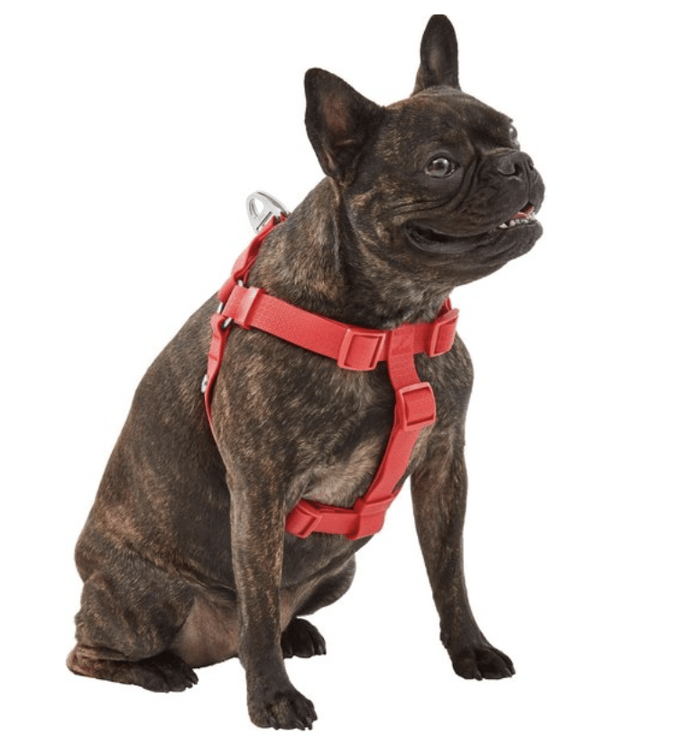 Frisco Waterproof Dog Harness