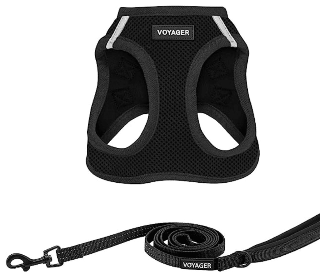 Voyager All-Weather Harness and Leash