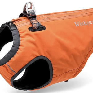 Chai's Choice Foul Weather Dog Harness and Jacket