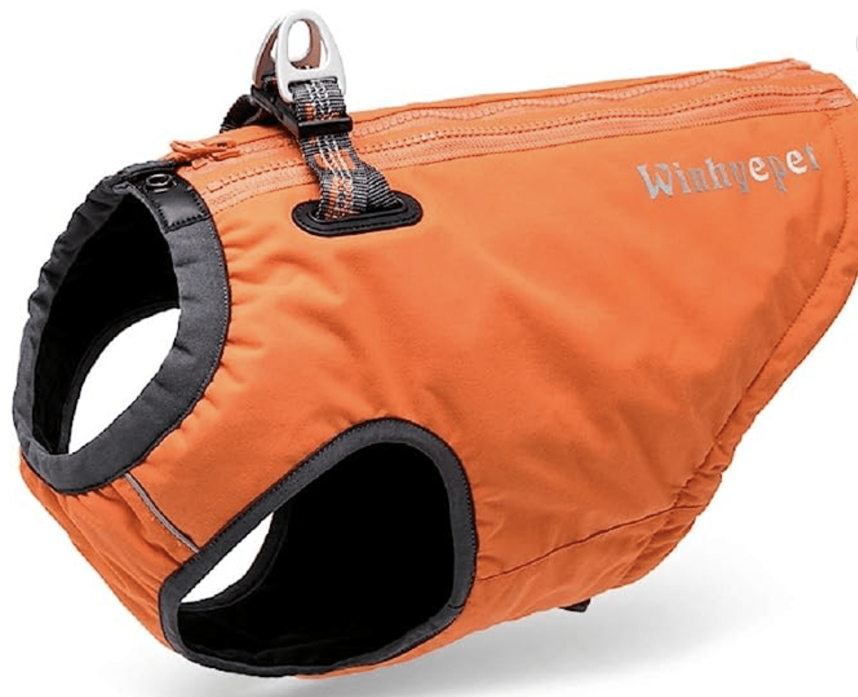 Chai's Choice Foul Weather Dog Harness and Jacket