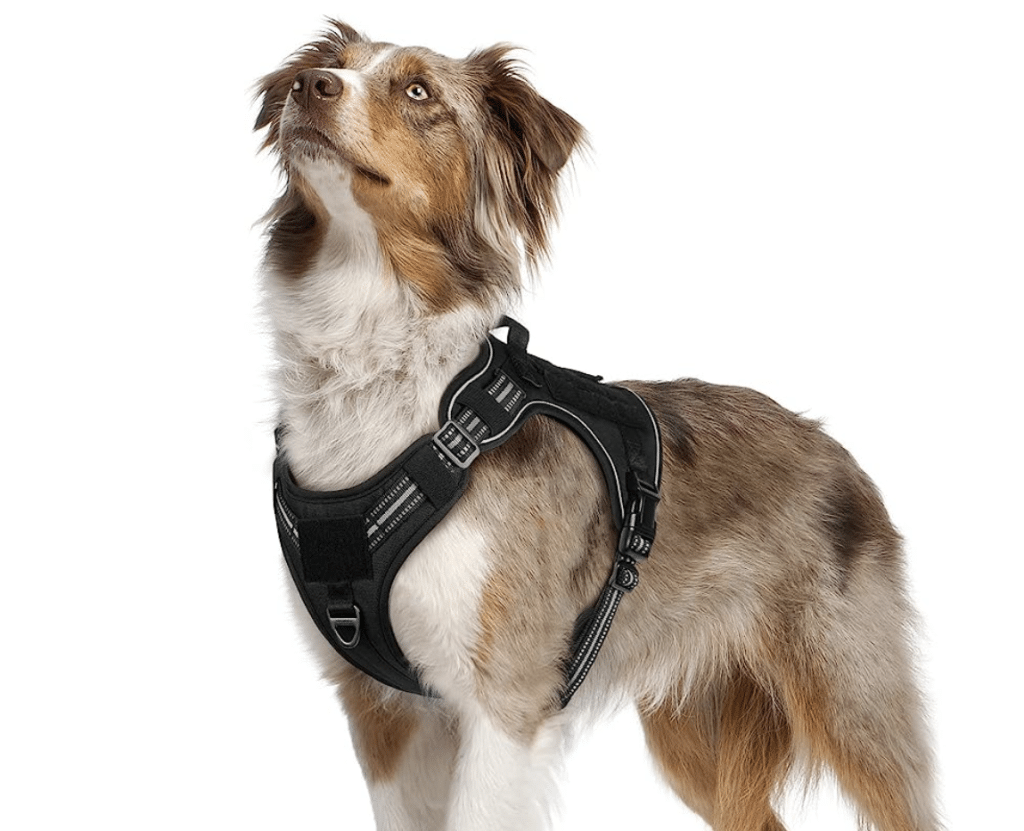 Dog Harnesses for Australian Shepherds 8 Harnesses for Your Aussie