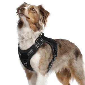 Rabbitgoo Tactical Dog Harness