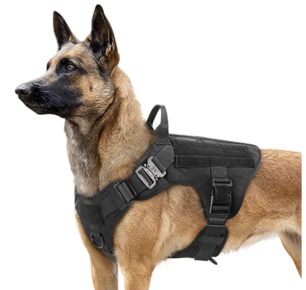 Rabbitgoo tactical dog harness for huskies
