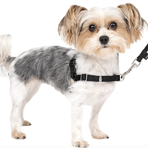PetSafe Dog Harness for Puppies