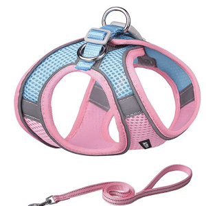 AIITLE Set-In Dog Harness