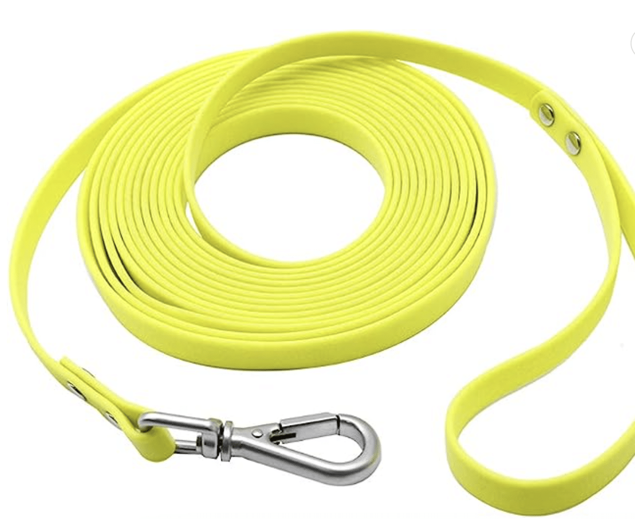 The 12 Best Leashes for Big Dogs Who Pull