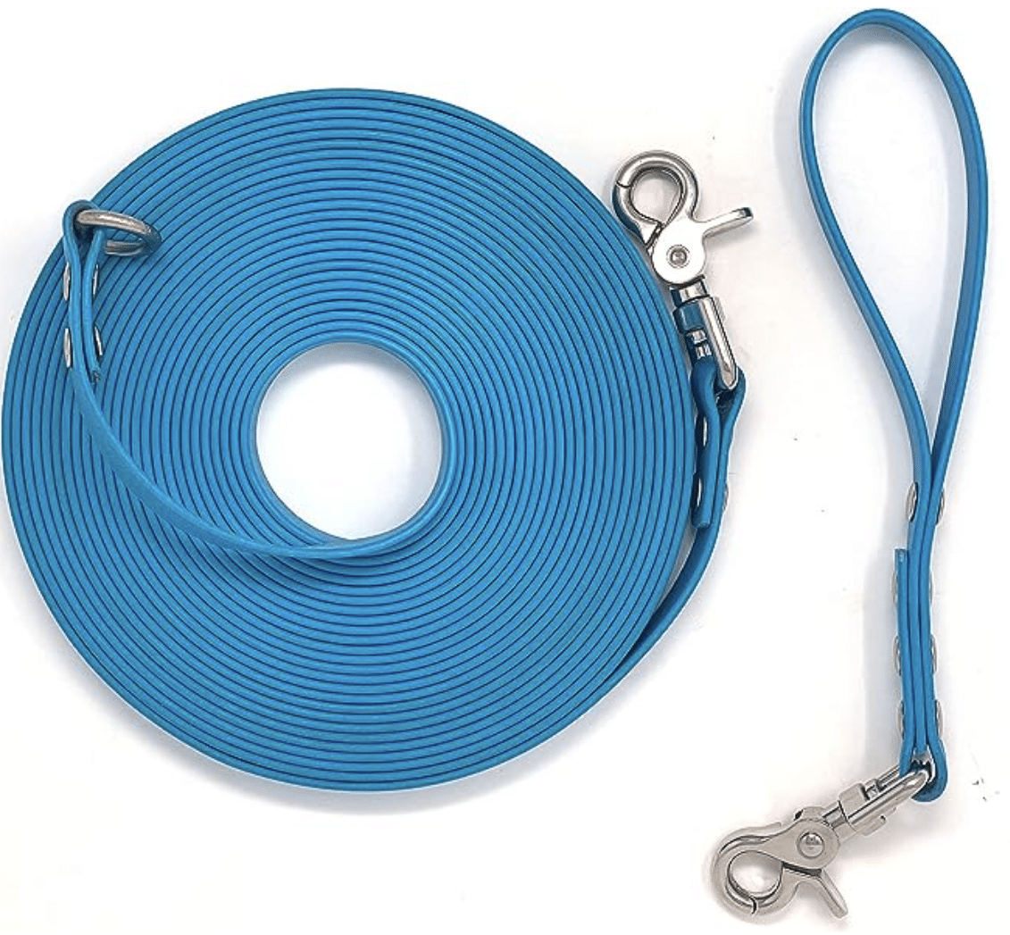 The 7 Best Long Dog Leashes for Training, Exercise, Romps