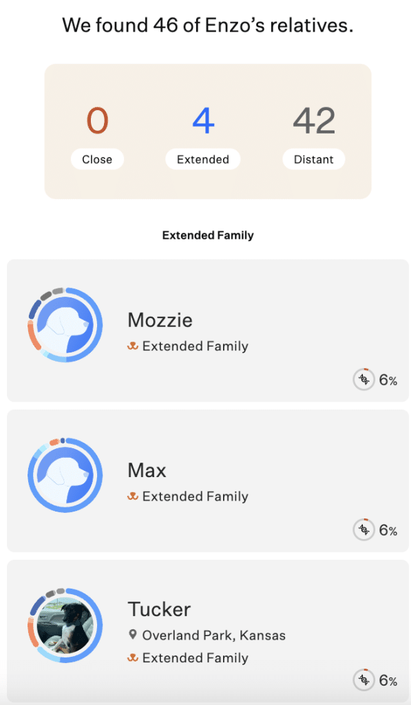 Image reads "we found 46 of Enzo's relatives" and lists dogs Mozzie, Max and Tucker"