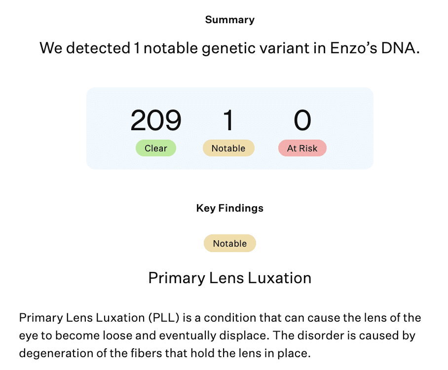 Image reads "We detected 1 notable genetic variant in Enzo’s DNA. Primary Lens Luxation"