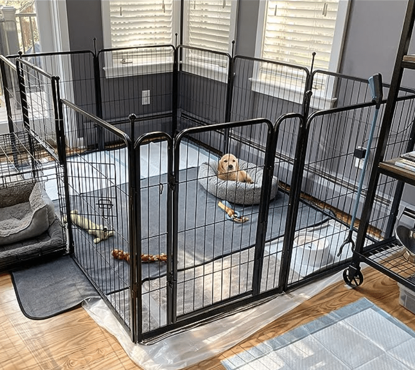 FXW Rollick Dog Playpen