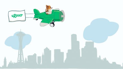 dog names in Seattle