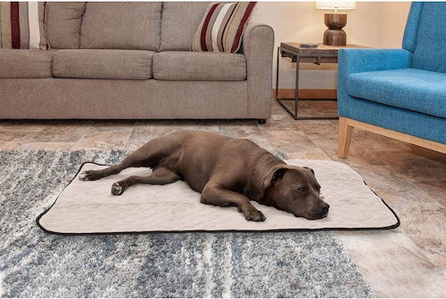 A brown dog laying on a Furhaven ThermaNAP Quilted Self-Warming Pet Mat