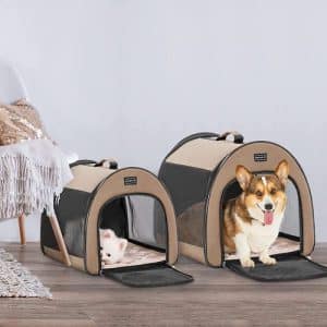 Two small dogs in a Petsfit Arch Design Soft-Sided Dog Crate