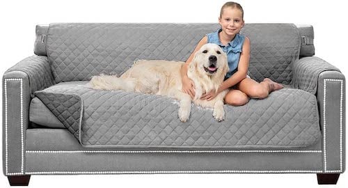 Child and dog sitting on a grey couch