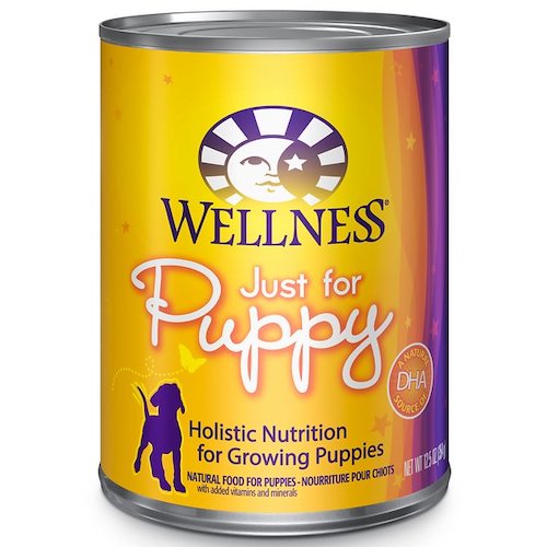 Wet Food for Puppies The Best Canned Options To Feed Young Dogs