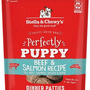 beef and salmon raw food for puppies