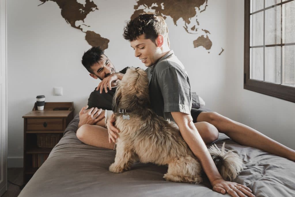 a couple lounge and laugh on a bed with their dog