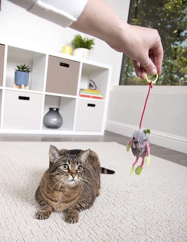 Human hand dandling a string mouse toy in front of a grey striped cat.