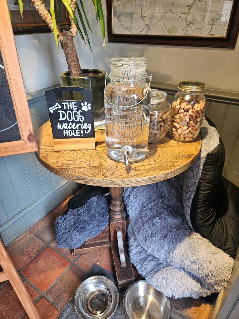 Dog snack station at a pub