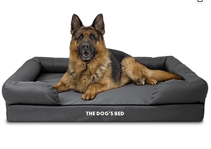 The Dog's Bed