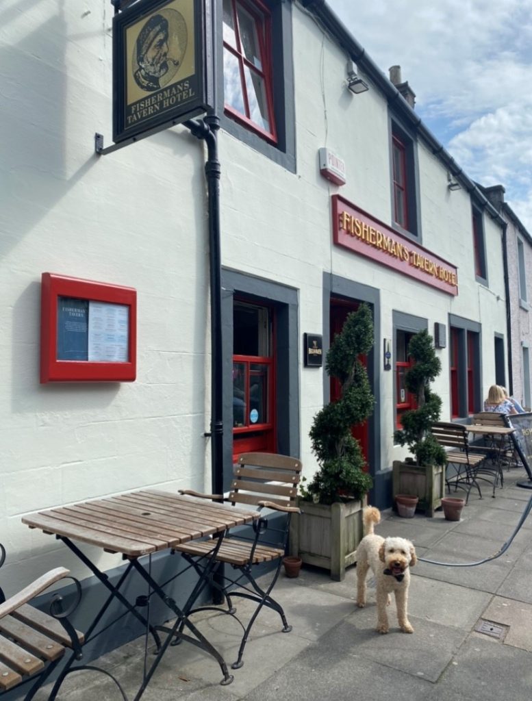 A dog outside the Fisherman's Tavern