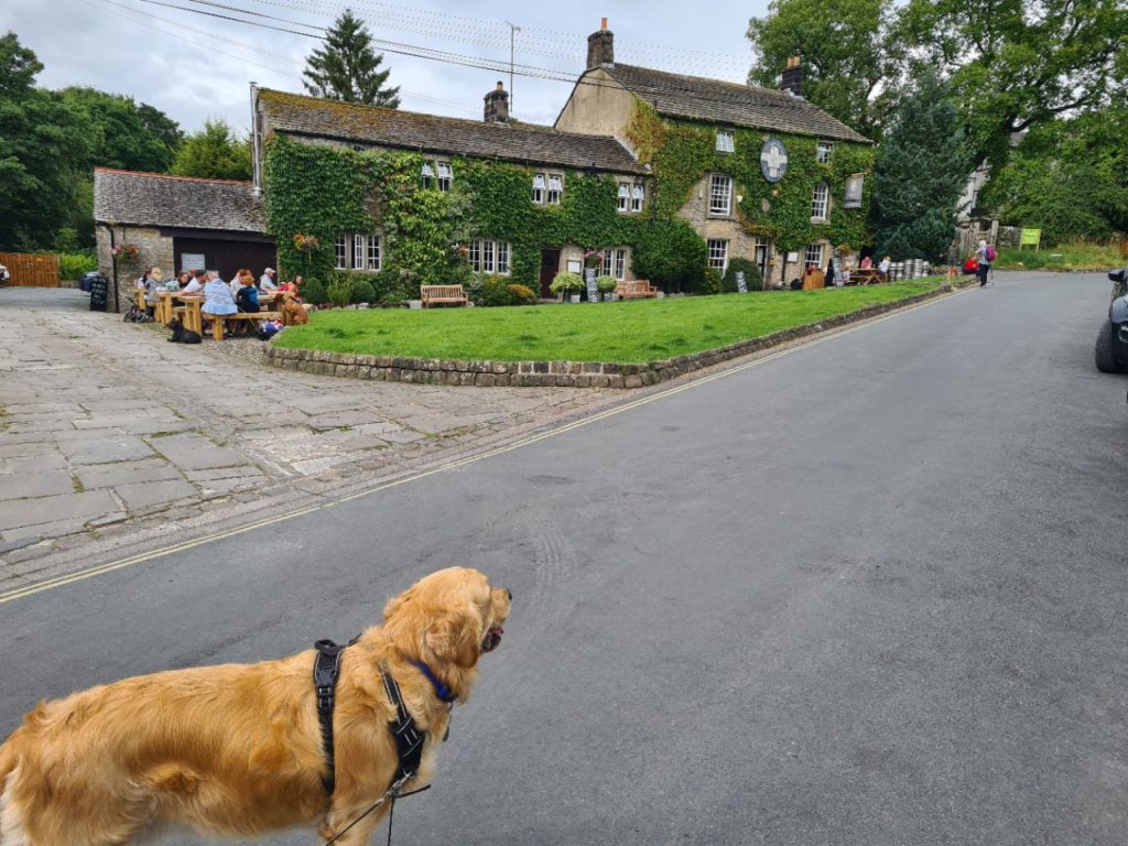 Dogs looks on at The Listers Arms pub