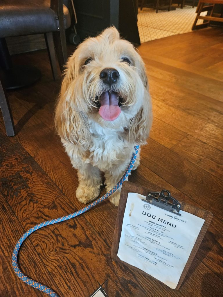 Dog standing next to The Waterside Inn dog menu