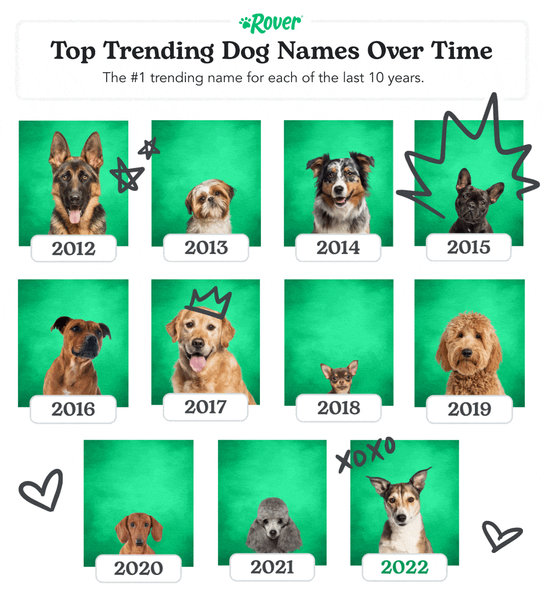 Top Trending Dog Names Over Time: The #1 trending name for each of the last 10 years.