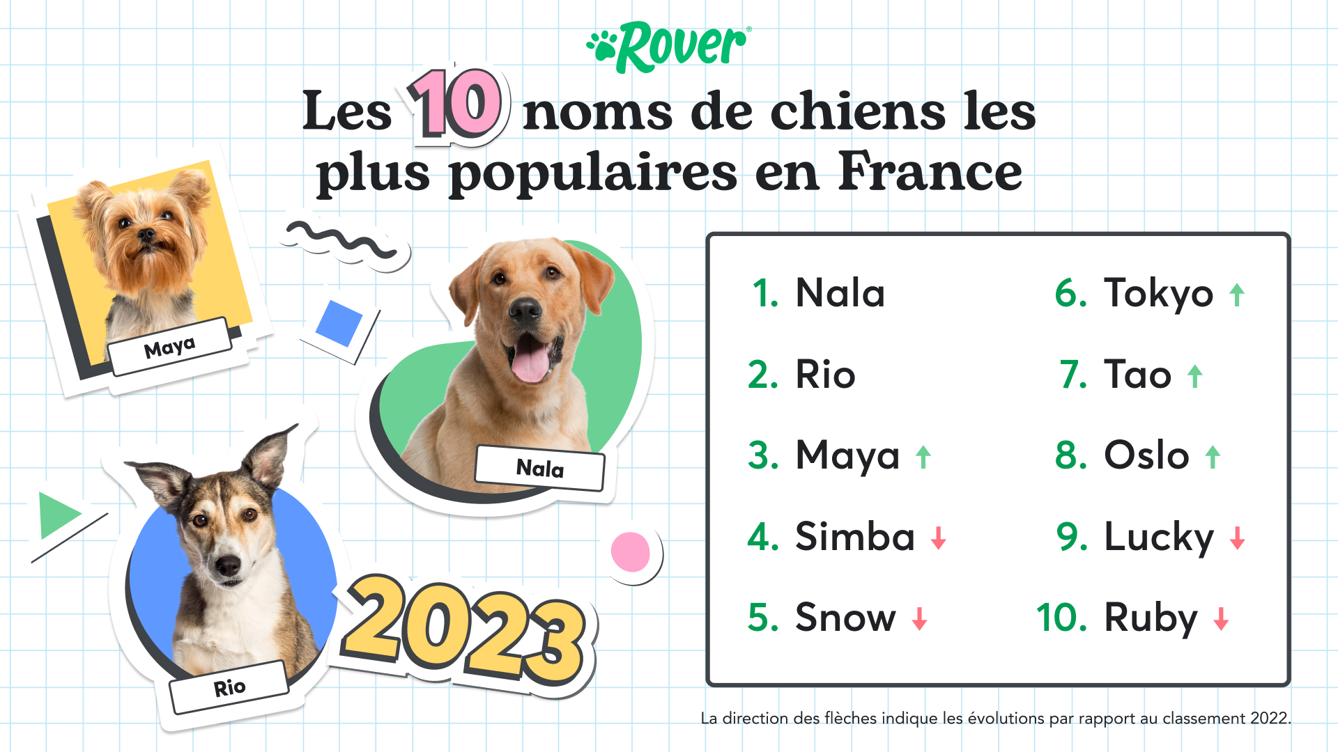Quels noms de chien sont les plus populaires en France