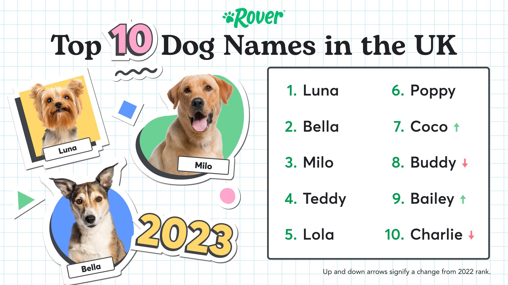 Top 10 Most Popular Dog Names in UK Graphic with Labrador named Milo, Yorkshire named Luna and dog named Bella. 