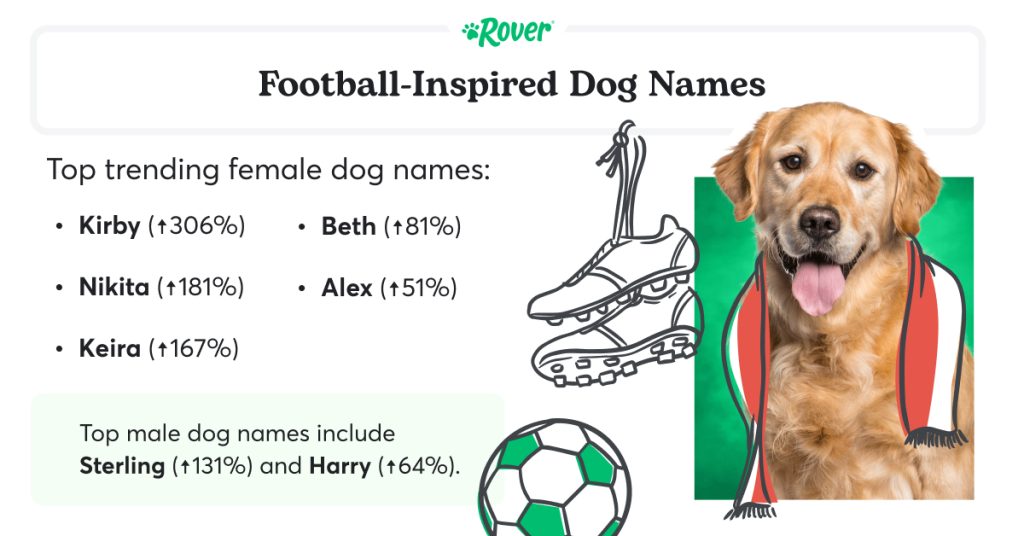 Black text stating: Football-inspired dog names. A Golden Retriever dog wearing a football scarf, surrounded by other football-themed illustrations.