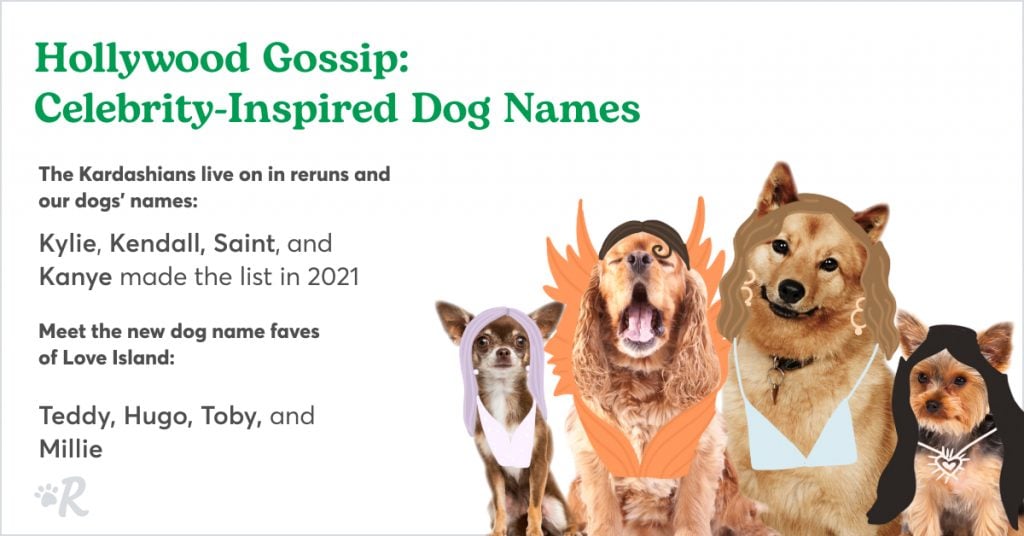 The Most Popular Male And Female Dog Names Of 2021 Rover Com