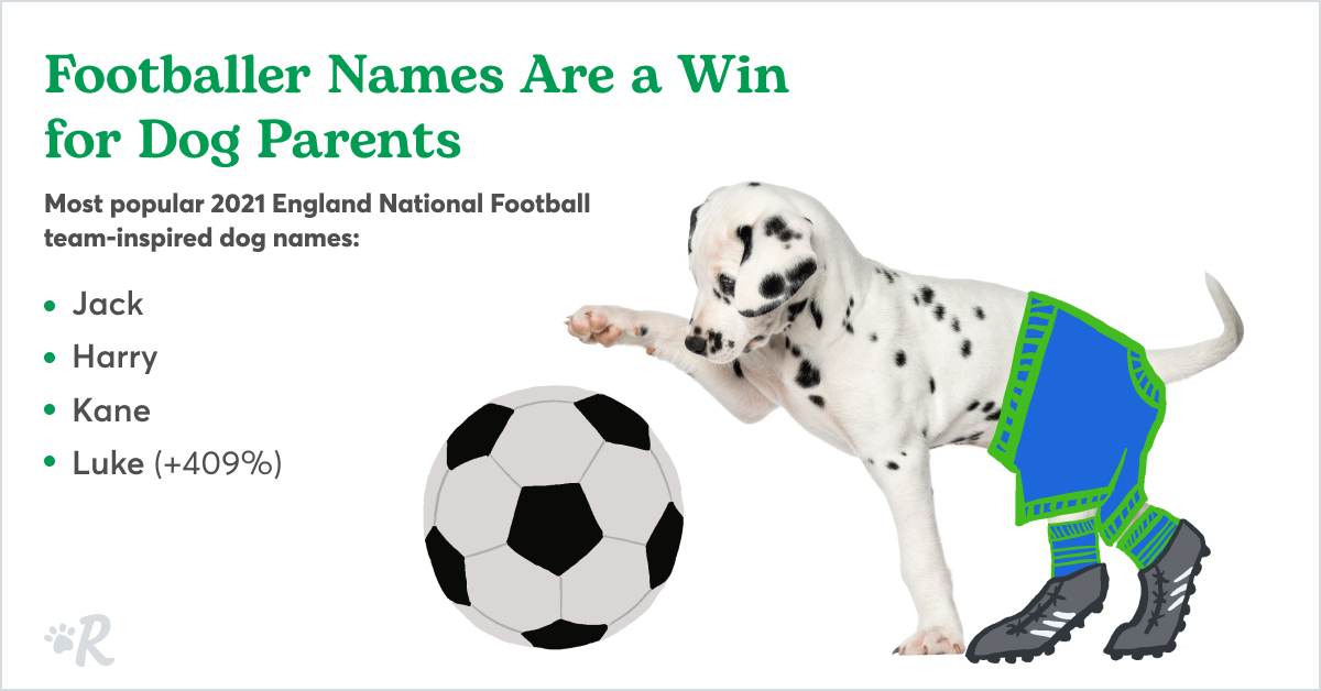 The Most Popular Male and Female Dog Names of 2021