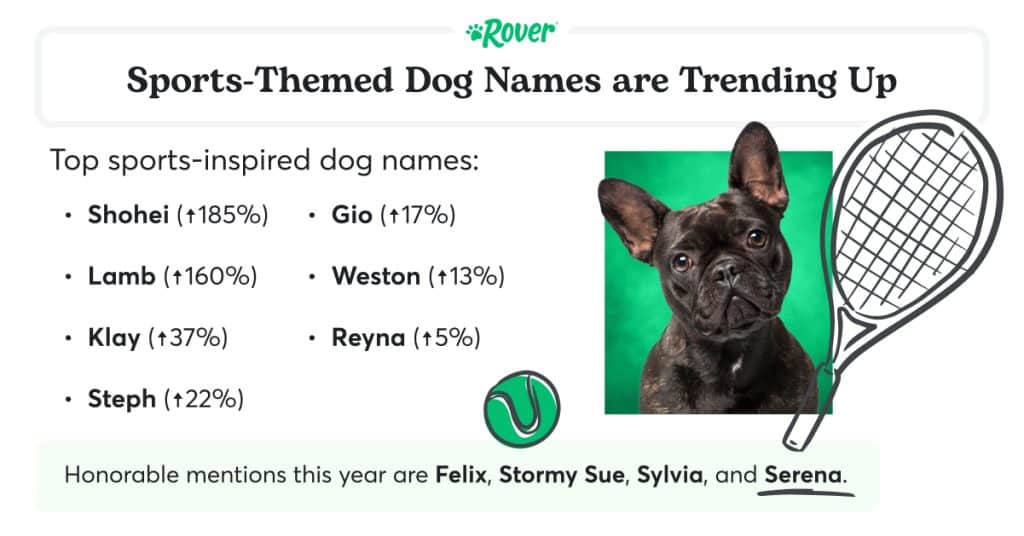 Black text stating: "Sports-Themed Dog Names are Trending Up." A Frenchie on a green background with an illustrated tennis racket.