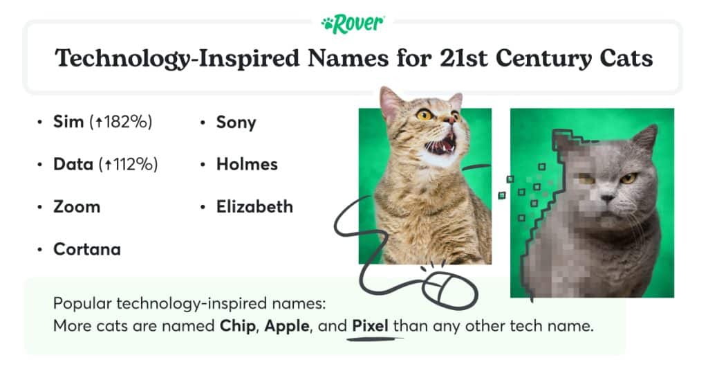 A black headline stating: "Technology-Inspired Names for 21st Century Cats." Two cats on green backgrounds and an illustration of a house to represent technology cat names.