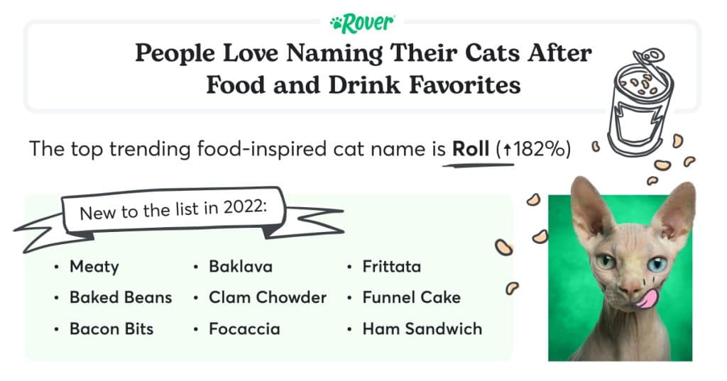 Black text stating: "People Love Naming Their Cats After Food and Drink Favorites." A hairless cat on a black background with an illustration of a can of cat food.