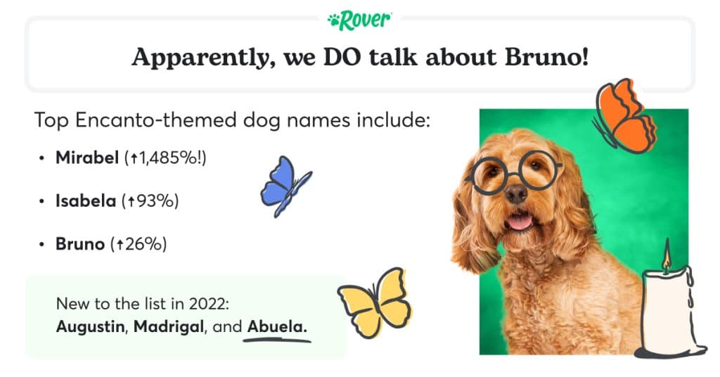 Black text stating: "Apparently we DO talk about Bruno!" A dog on a green background wearing glasses. Illustrations of butterflies and a candle to represent the movie Encanto.