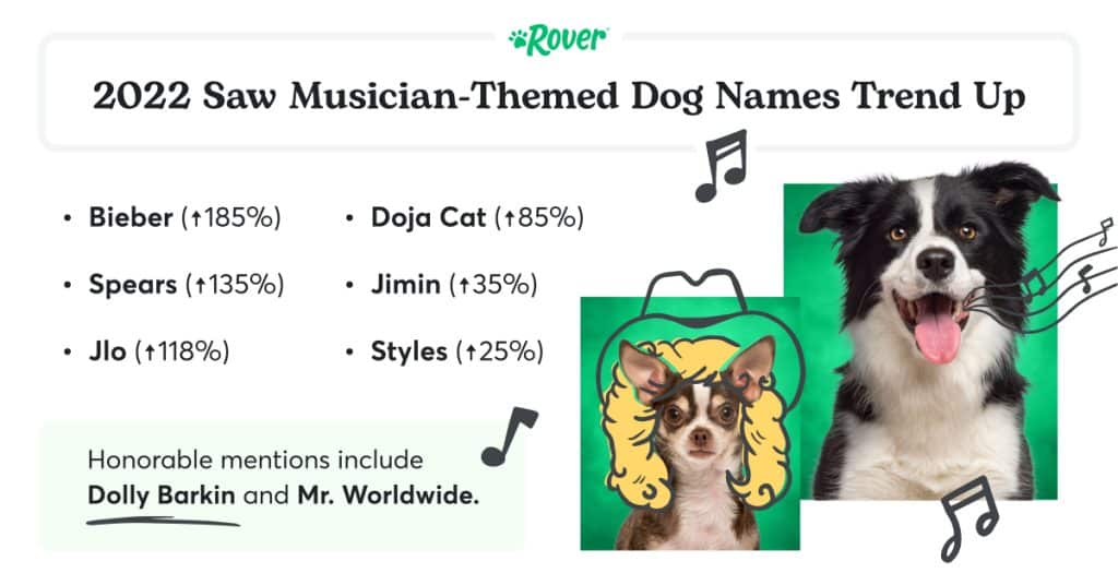 Two dogs on green backgrounds representing musicians. 