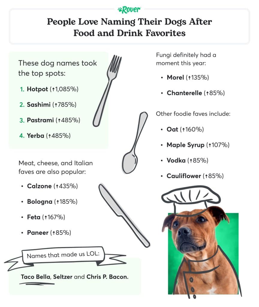 Black text stating: "People Love Naming Their Dogs After Food and Drink Favorites." A dog on a green background with an illustrated chef's hat.